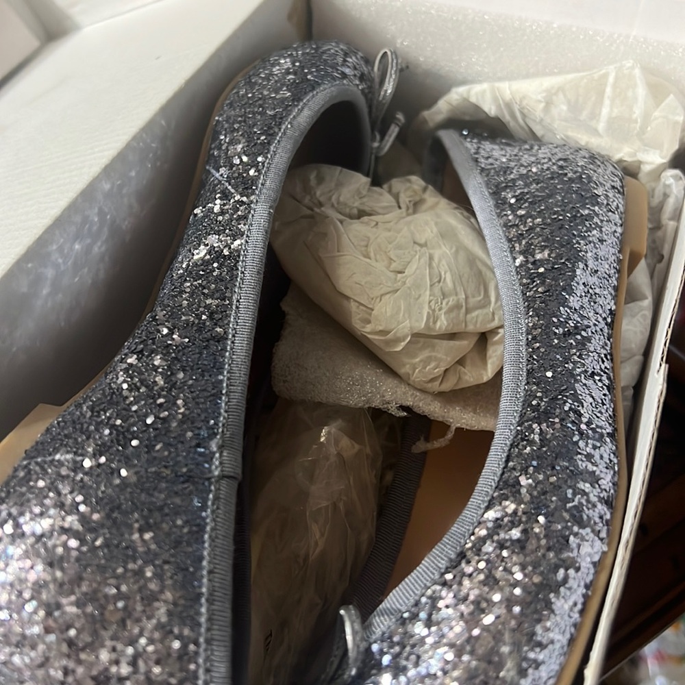 Banana Republic Ashley pewter glitter Ballet Flats w/ Tie Sz 8 never worn